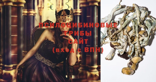 COCAINE Магадан