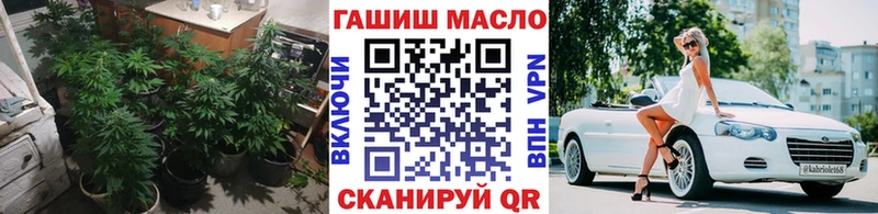 ТГК концентрат  Купить где  Алагир 