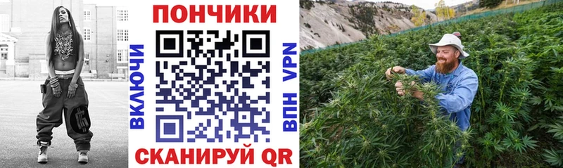 Конопля марихуана  Купить закладки  Алагир 